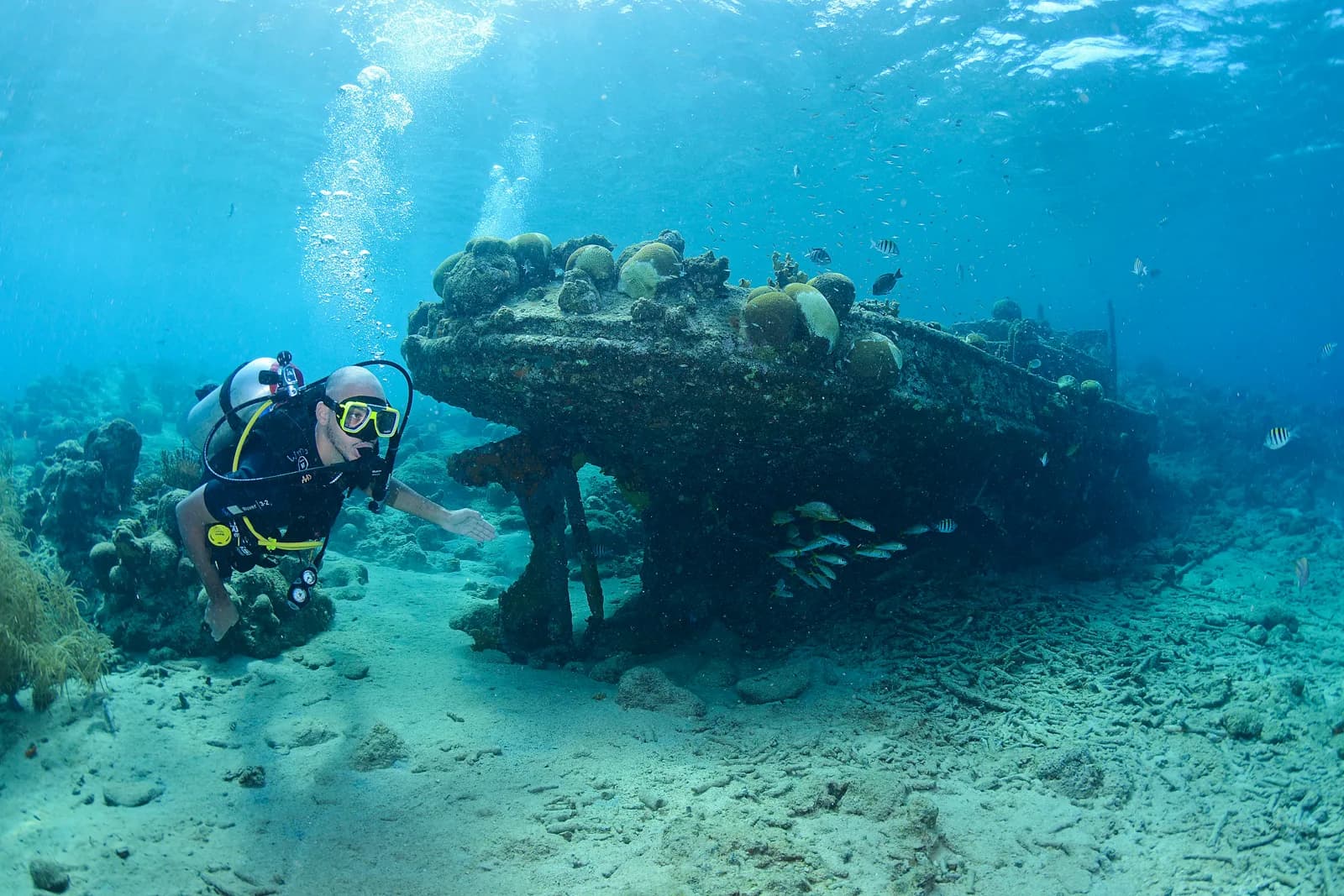 All About Scuba Curacao, www.allaboutscuba.nl