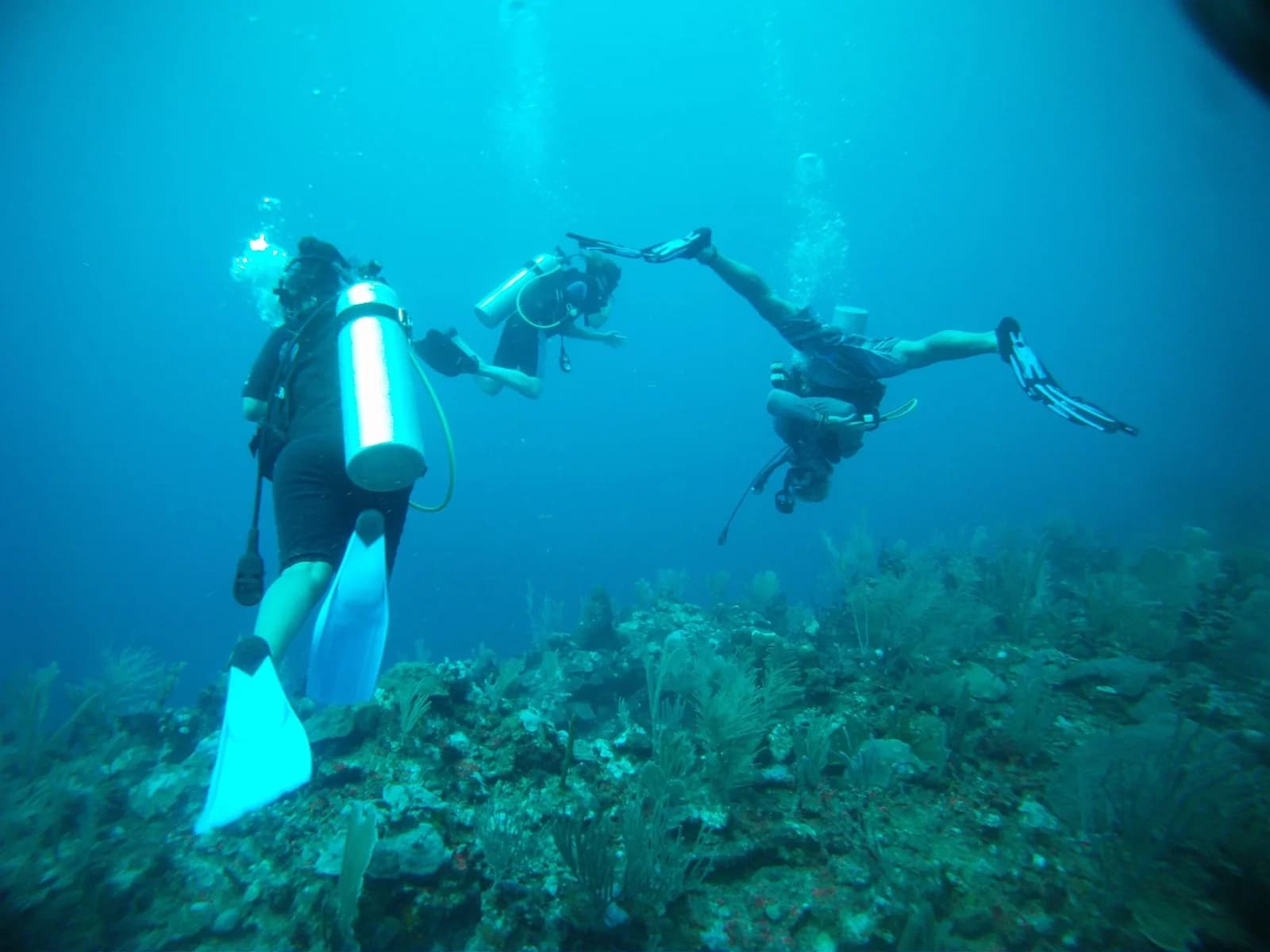 Deep Blue Adventures Belize