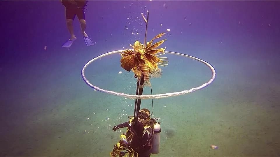 Aqua Adventures By Scuba Dive Sosua