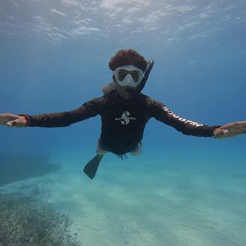 Reef Collective