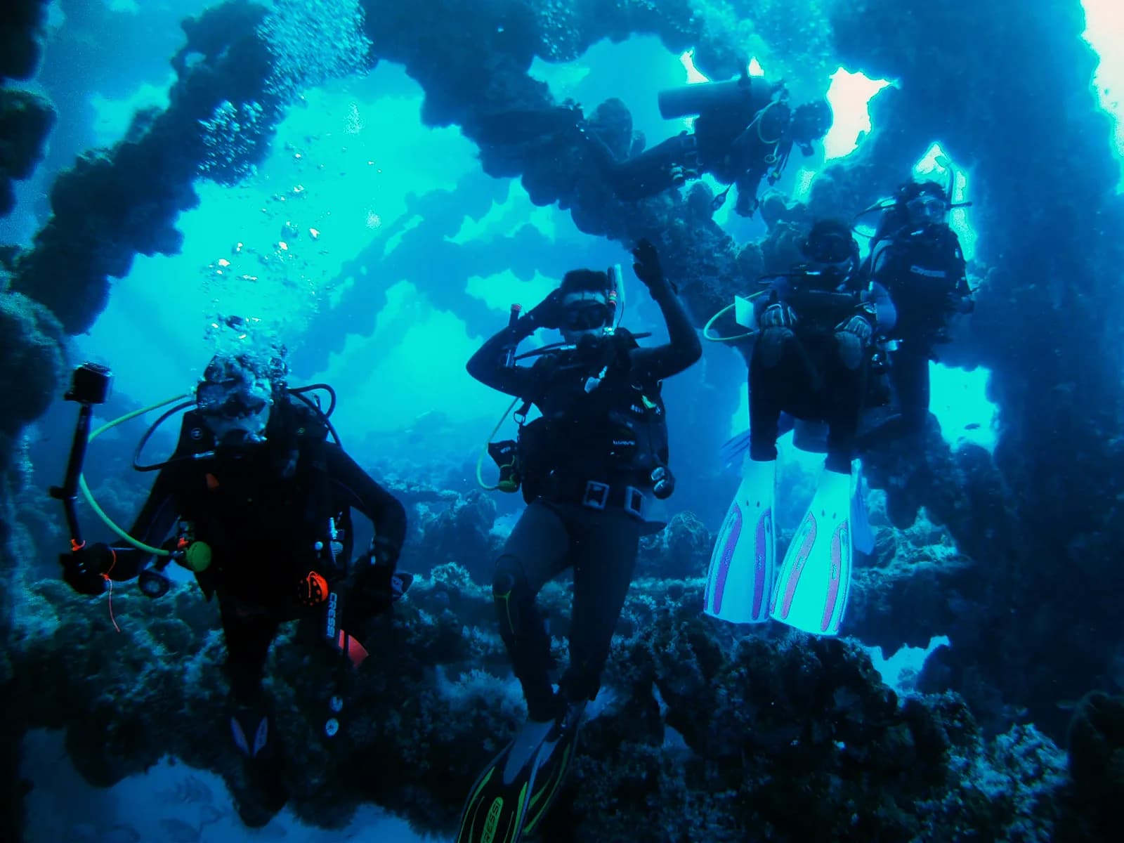 Gaia Divers Underwater Experience