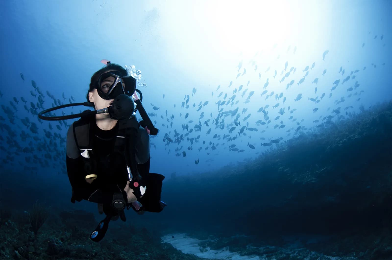 Admiralty Dive Center