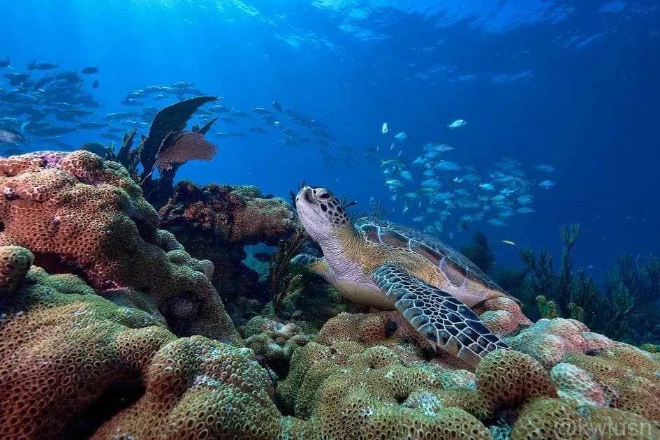 Key Dives