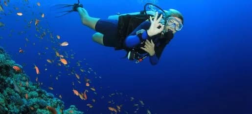 Looe Key Reef Resort LLC