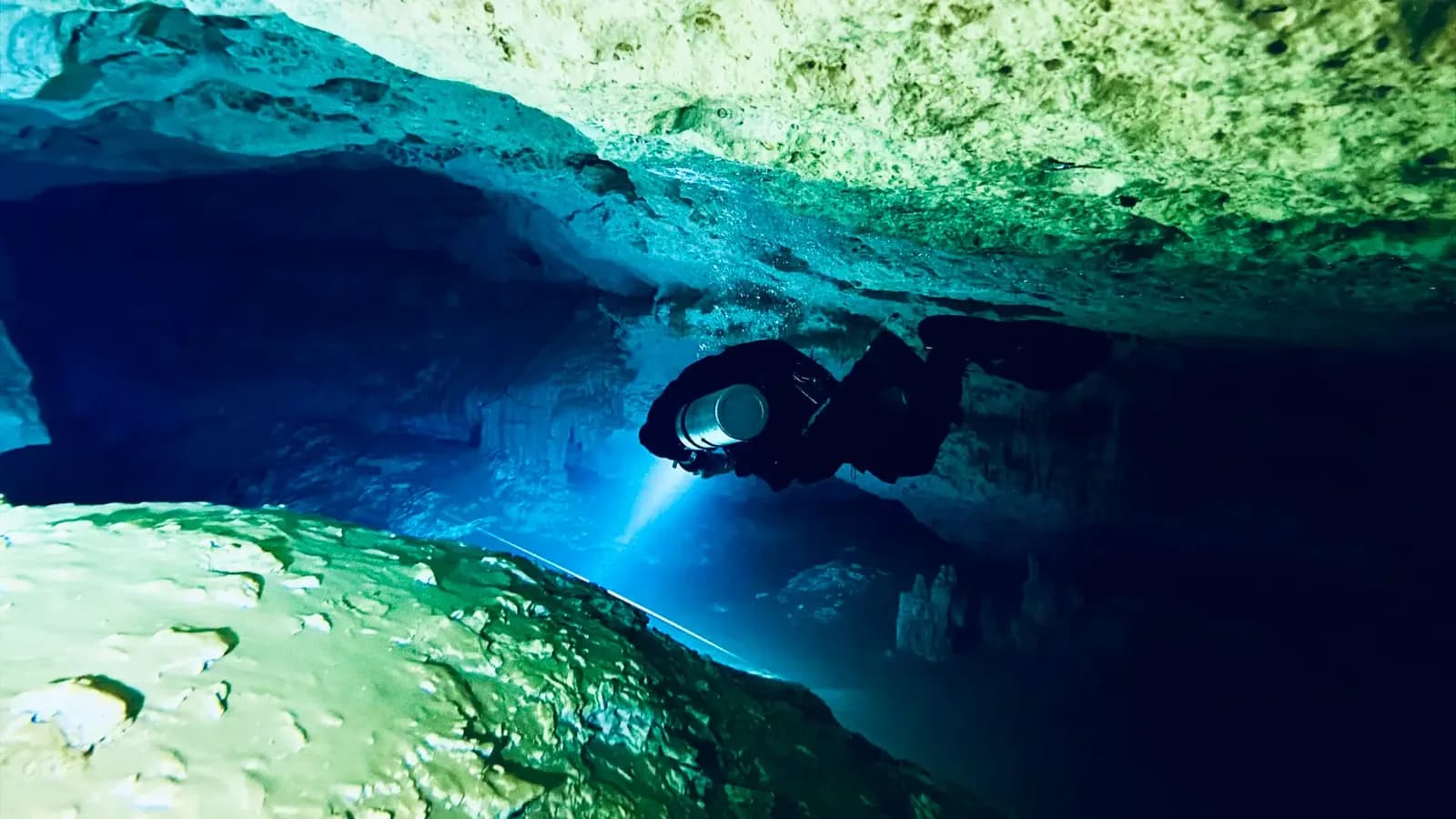 Florida Blue Divers