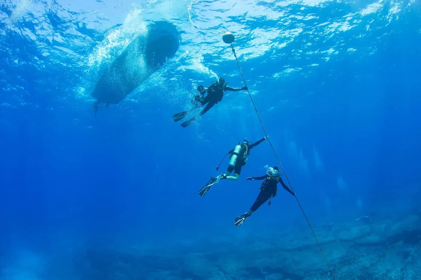Maui Dive Shop