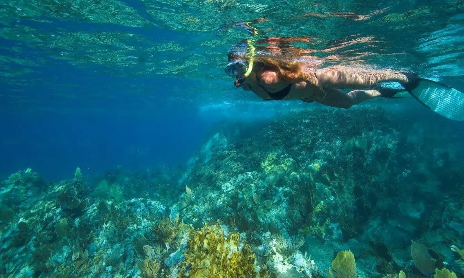 Ouanalao Dive