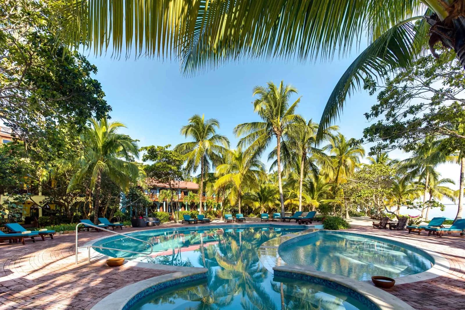 Plongée à Hamanasi Adventure & Dive Resort