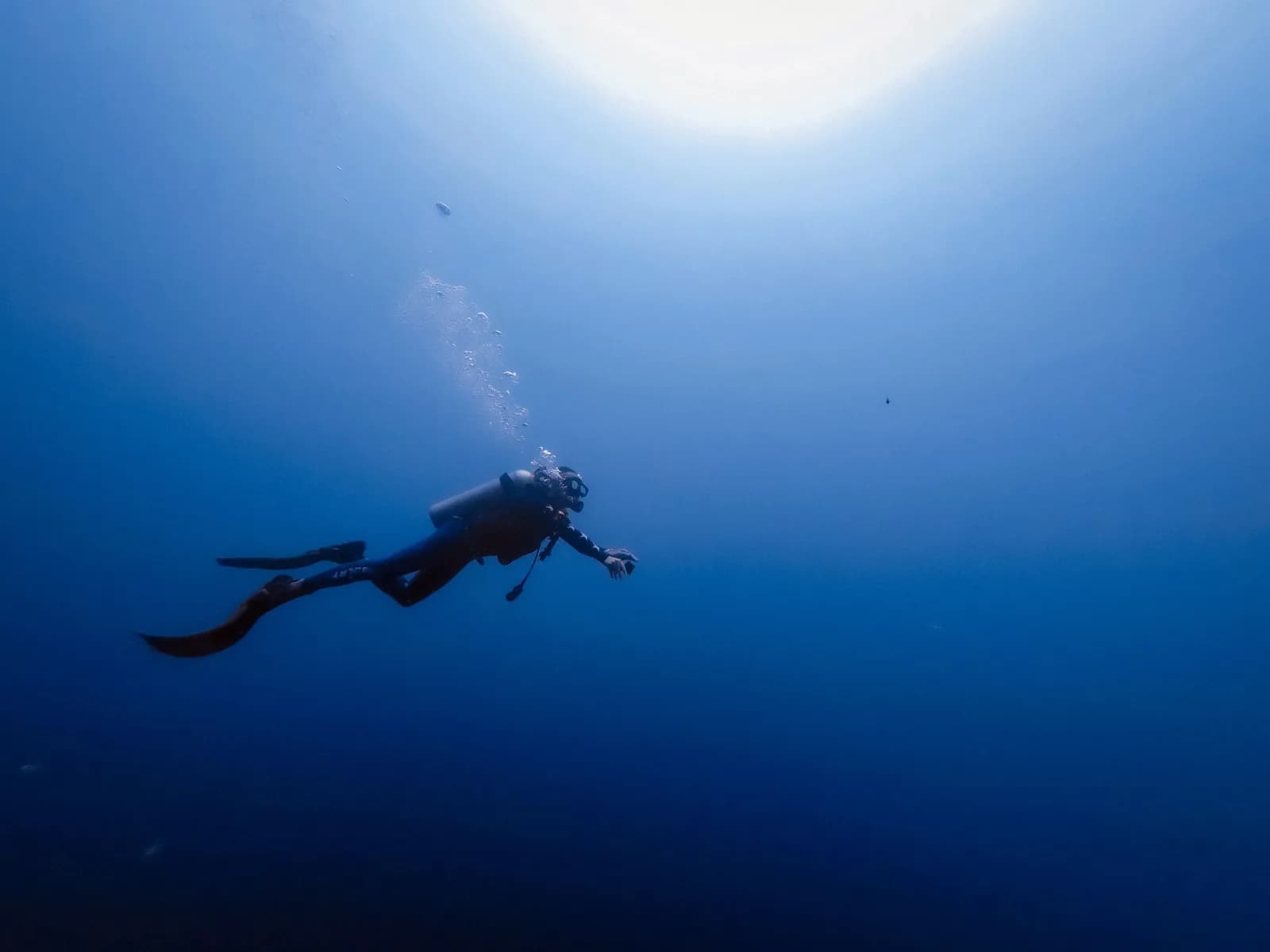 Sub Marine