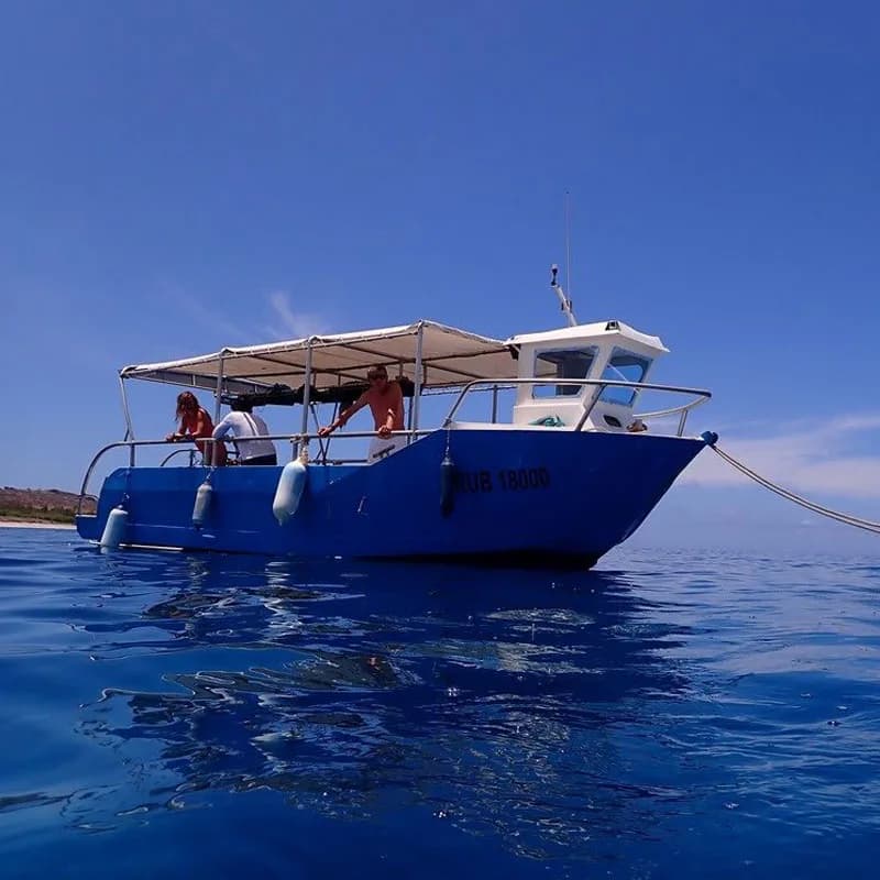 BLEU OCEAN