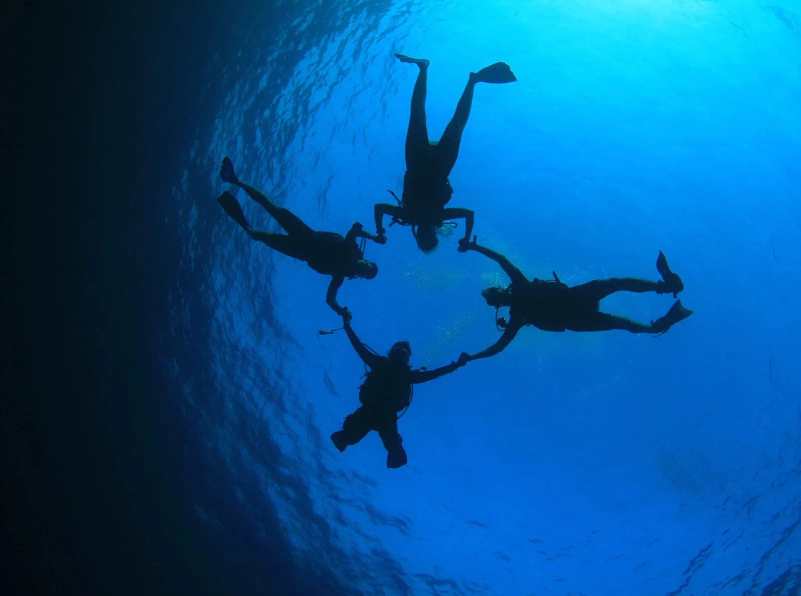 Sp.ar.te Diving
