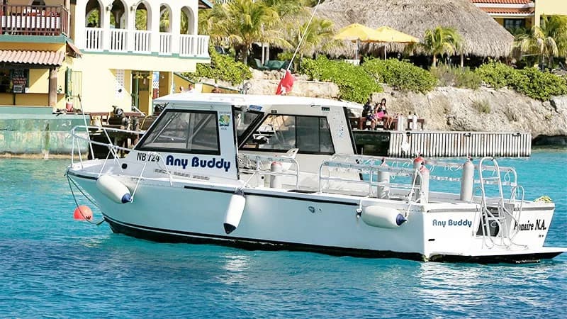 Buddy Dive Resort