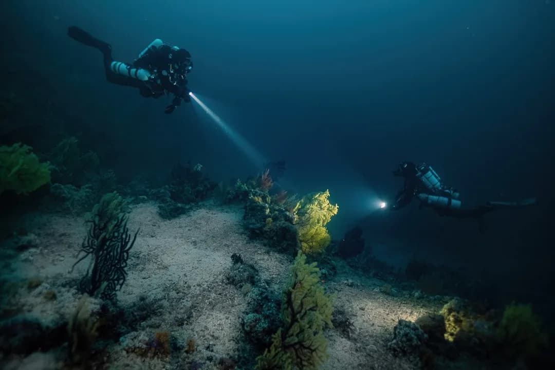Kraken Plongee