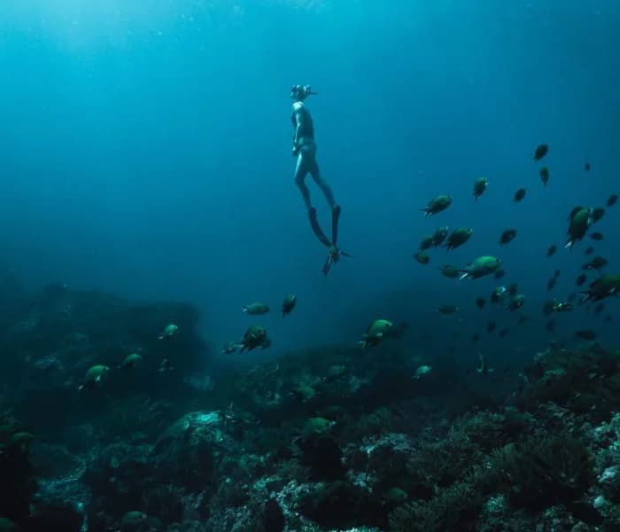 TURTLE DIVE CENTER