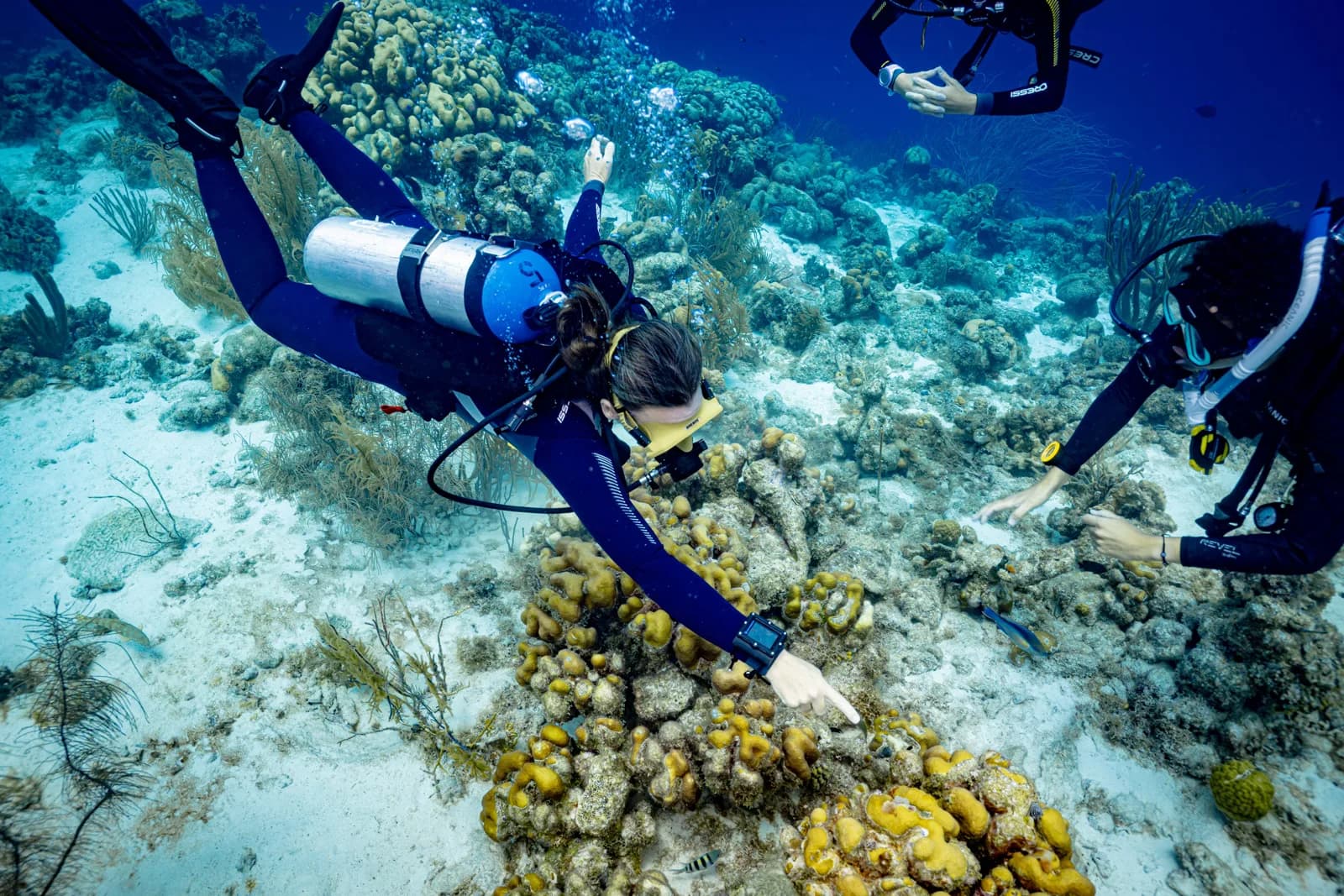 Ocean Quest Scuba Charters