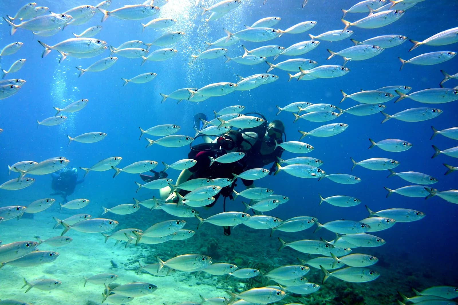 Trunkdivers N.V.