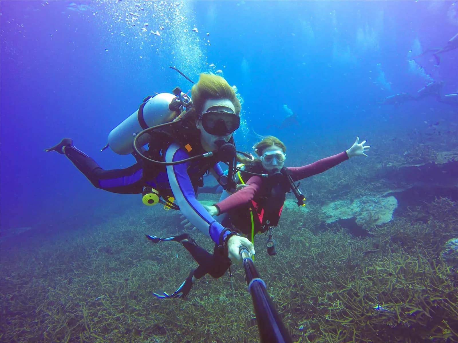 Neta Dive Center