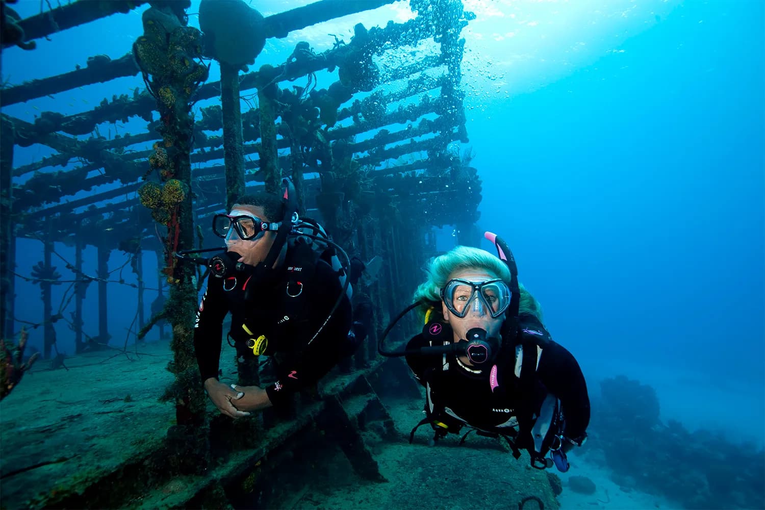 Bay City Scuba