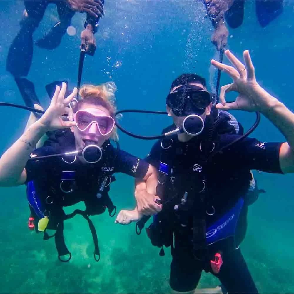 OHANA DIVE