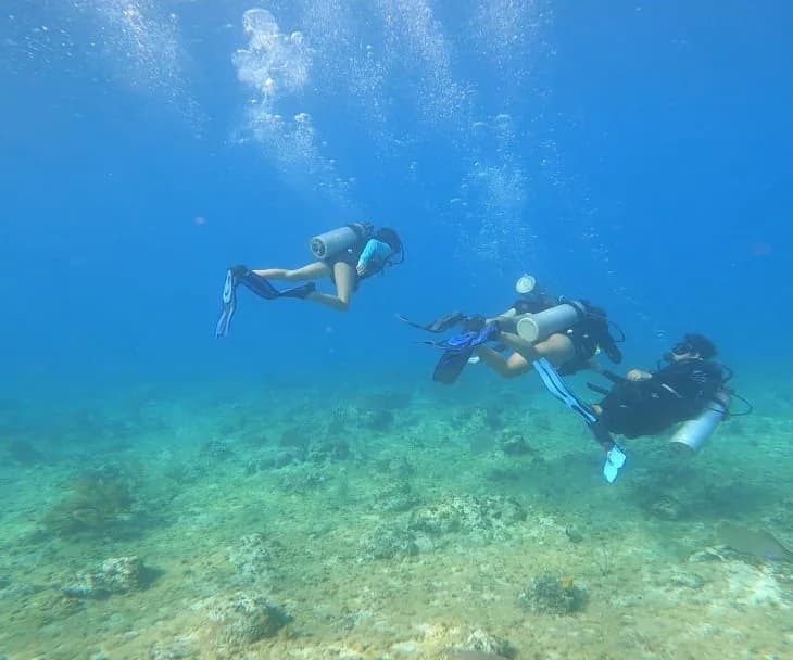 Diving Funs
