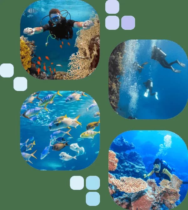 Nereus Quest