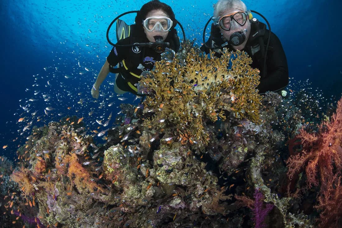 Red Sea Elite Diving with Divers United