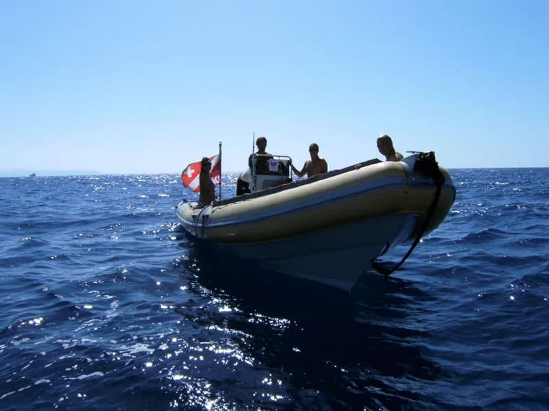 Oloturia Sub