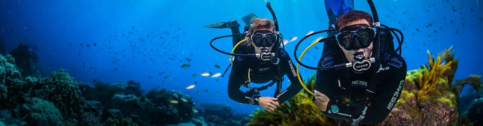 Seashell Dive Centre
