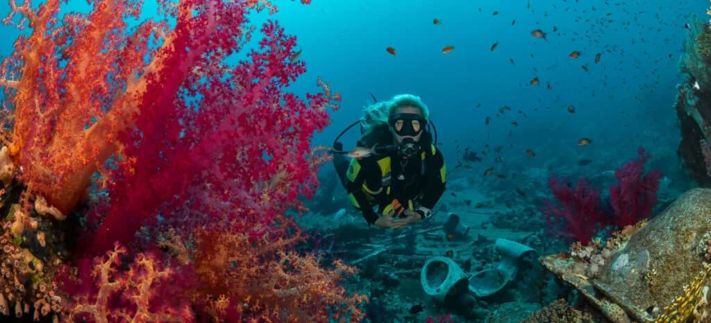 Camel Dive Club