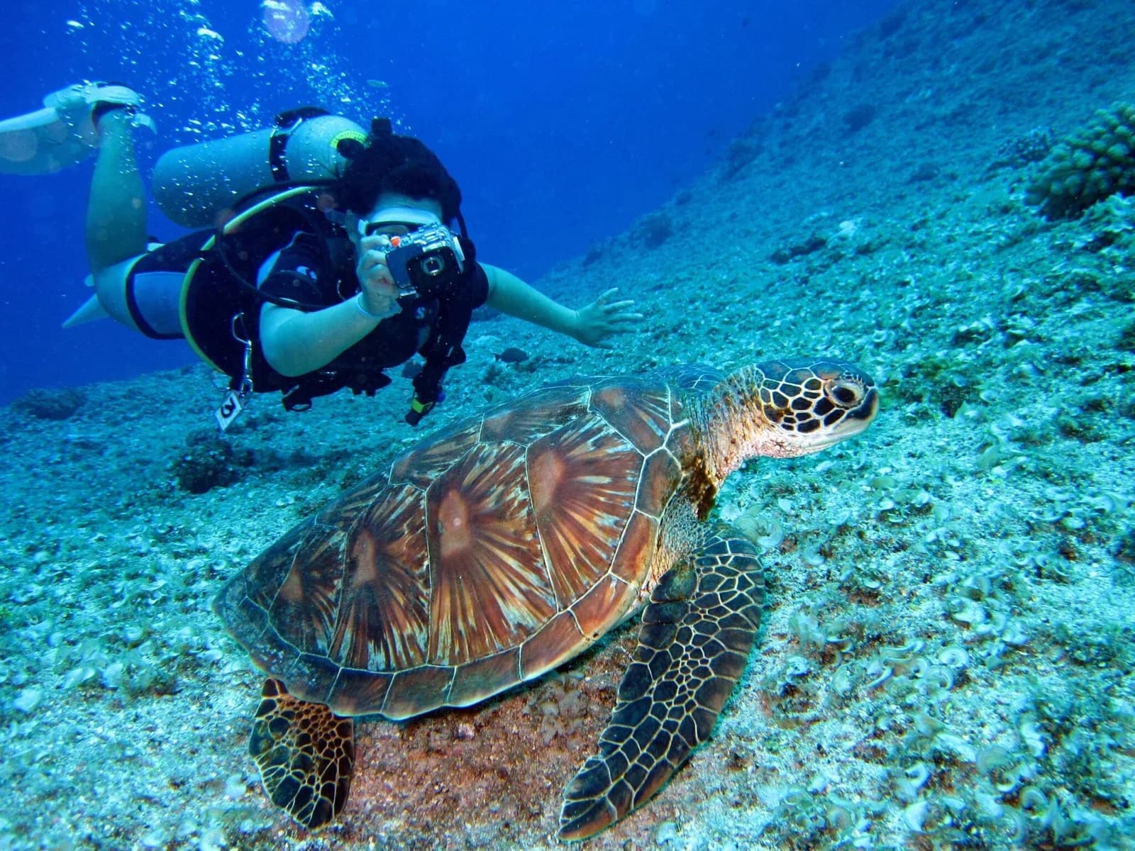 Sea Oman