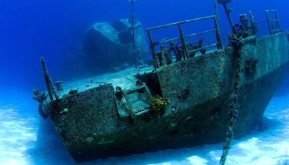 Dinos Diving LLC