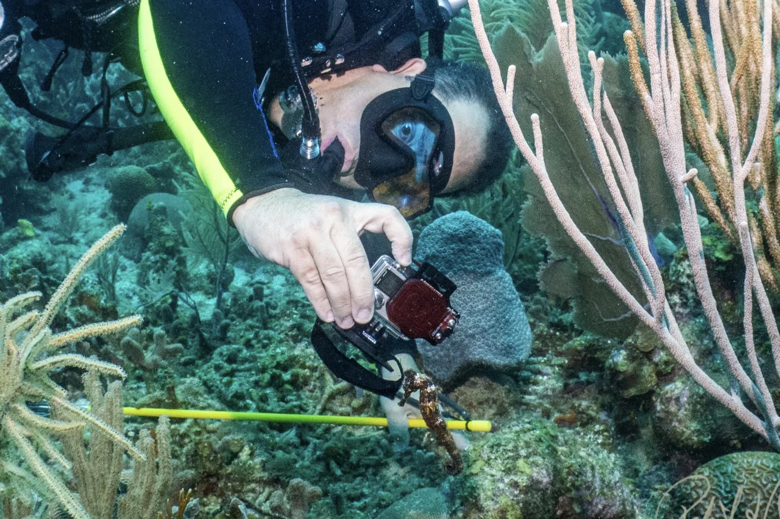 Sunshine Scuba School