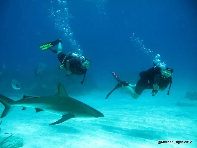 Grand Bahama Scuba