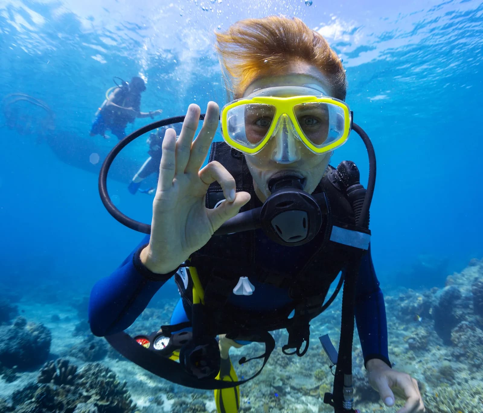 Ocean View Diving