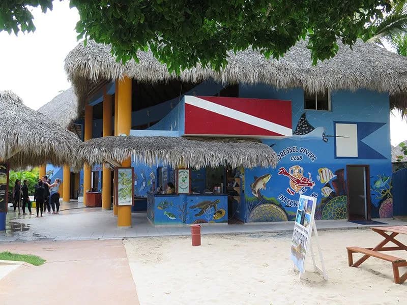 Dressel Divers Bavaro