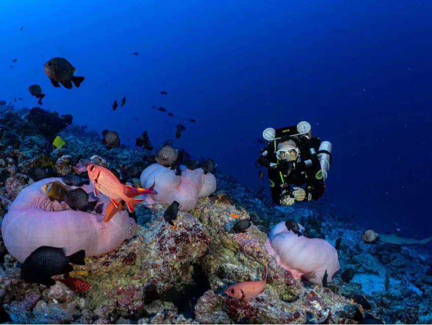 CCR Rangiroa