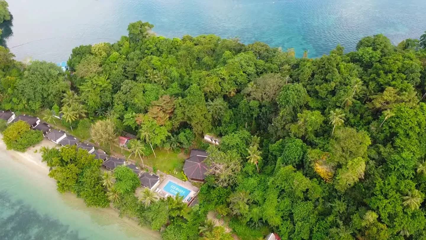 Lembeh - White Sands Beach Resort - Eco Divers