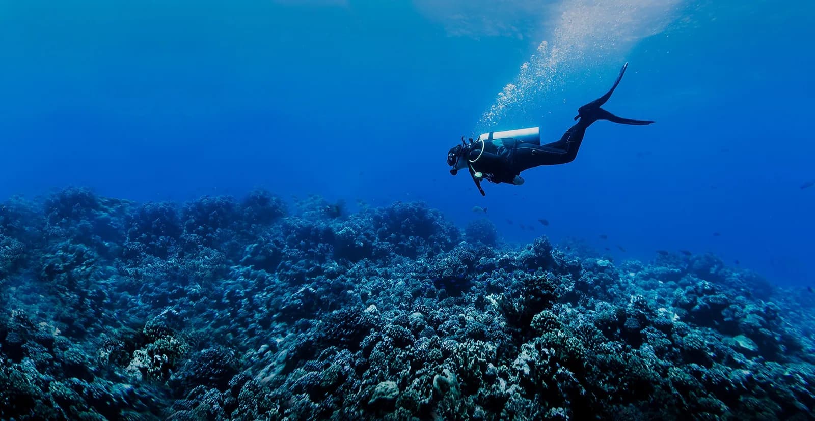 Dive Sphere