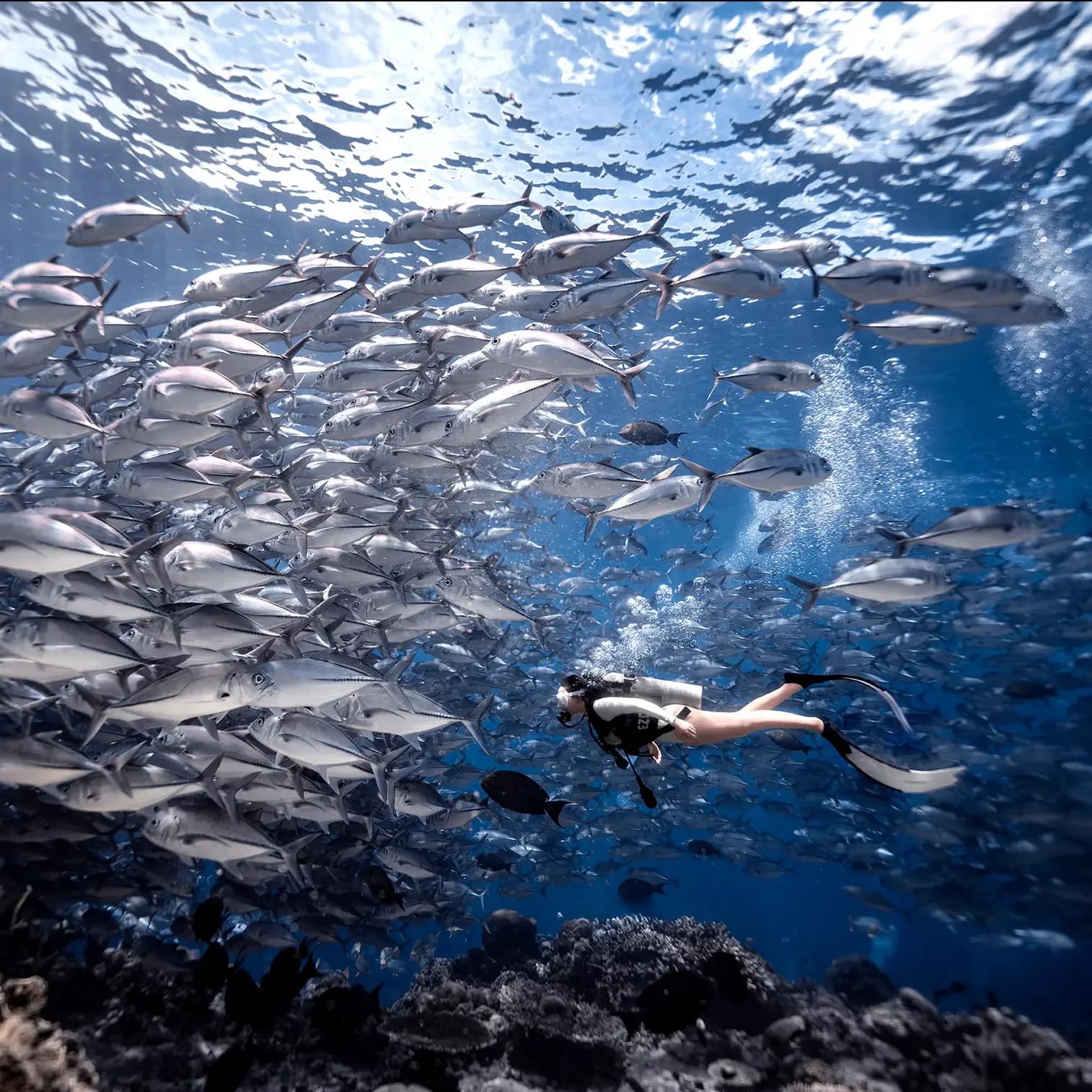 ROACH REEFS TOURS