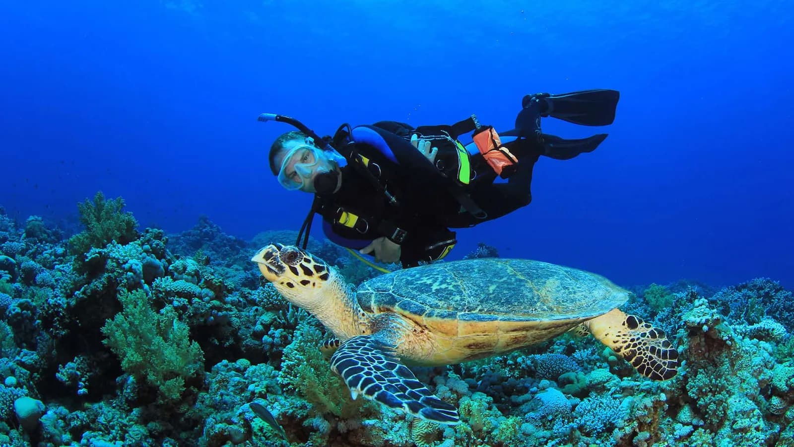 MDI Diveshop