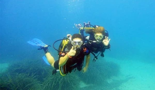 Posidonia Ecosports