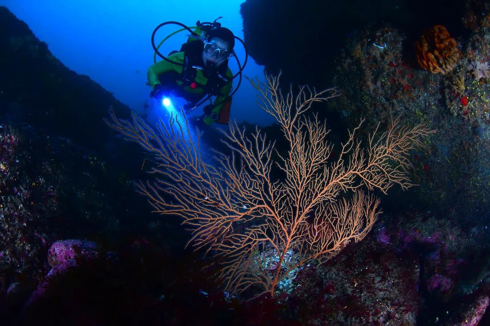 Mola Mola Technical Diving