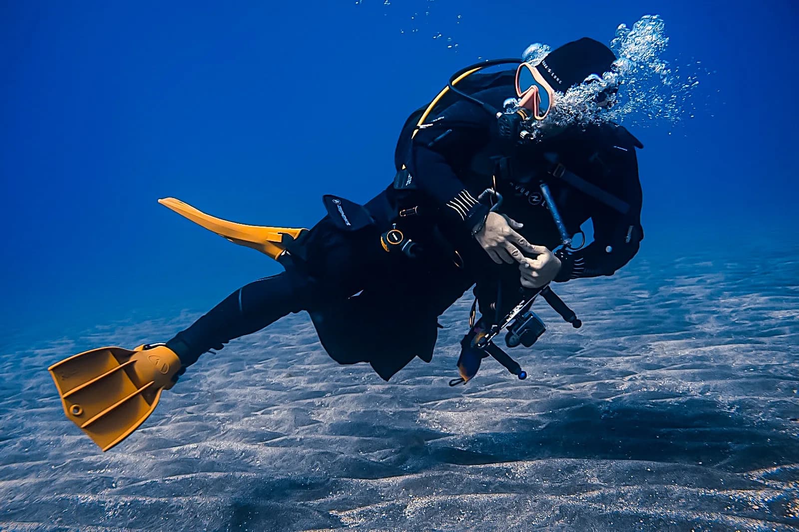 THALASSA BUCEO