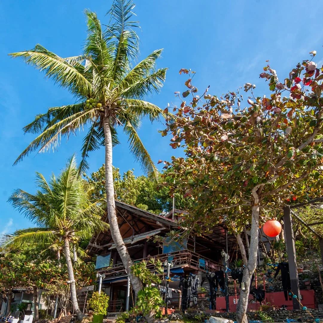 Planet Dive Resort