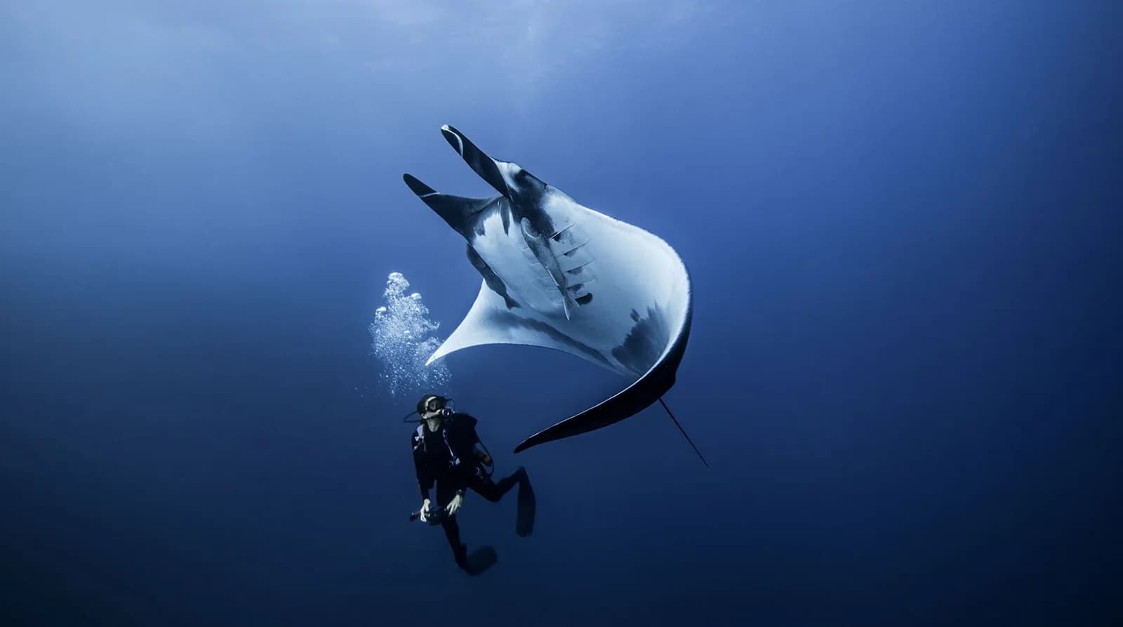 Limit Breakers Scuba Diving