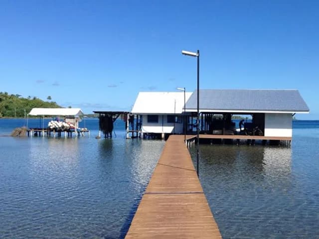Te Mara Nui