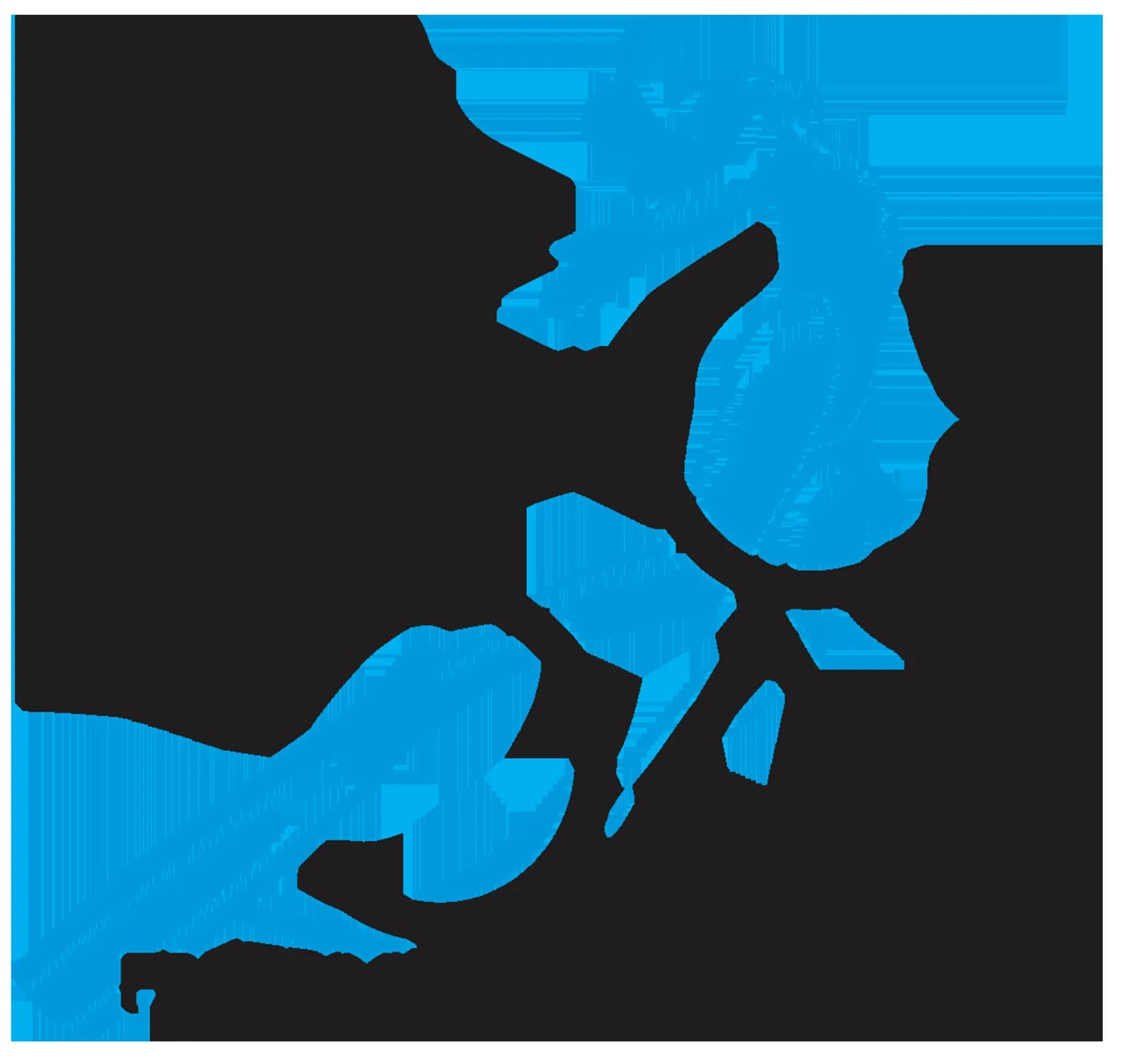 Freediving Coaches of Asia