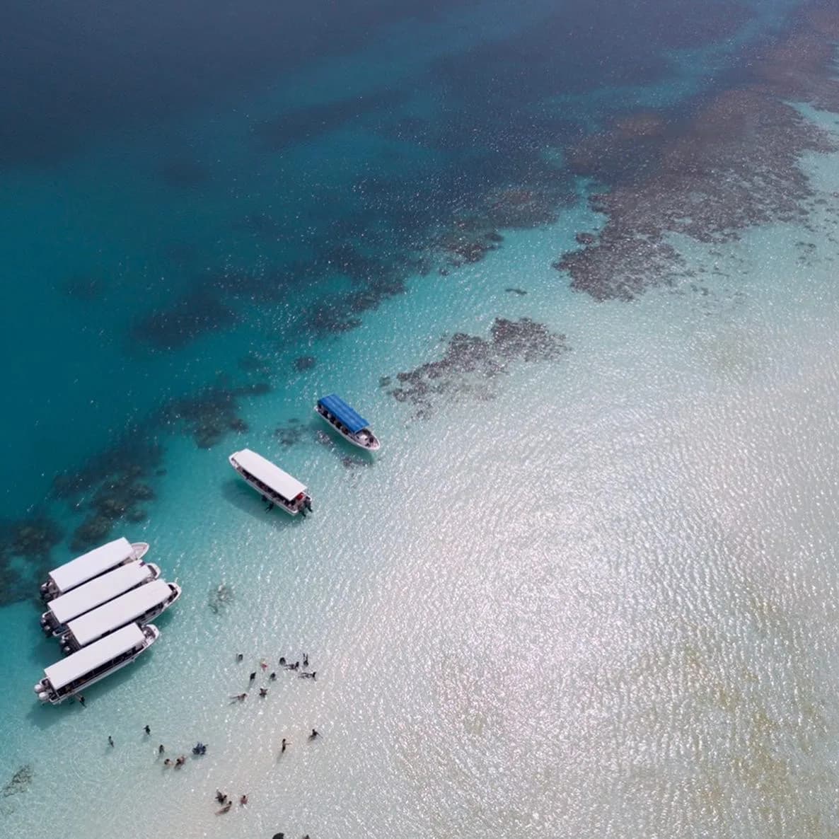 Palau LT Dive