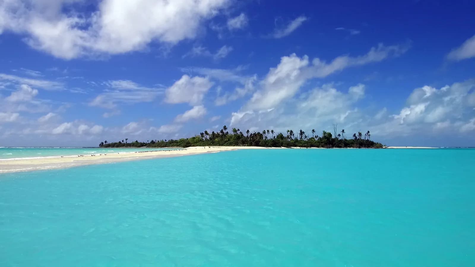 Palau Pacific Divers