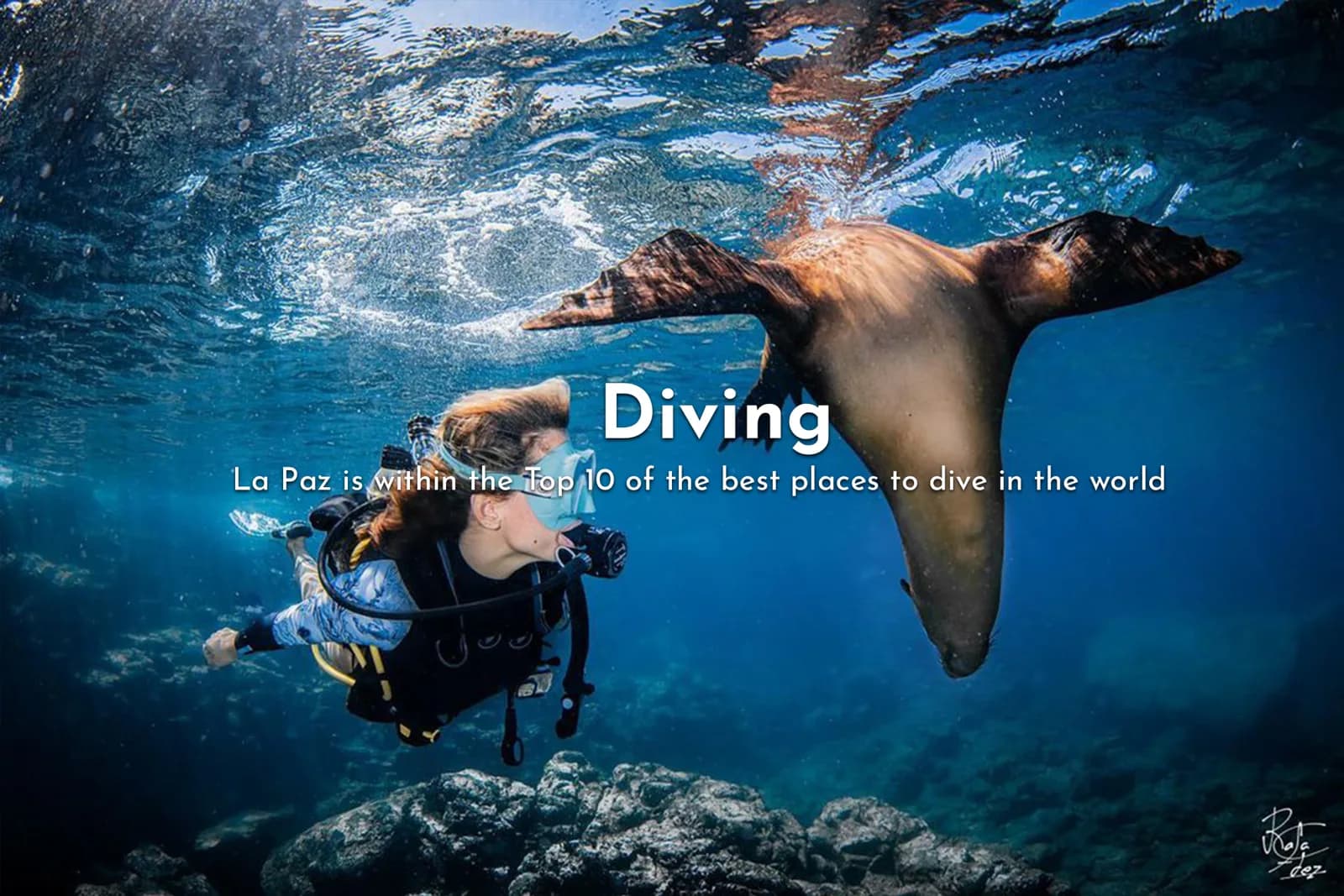 Buceo Carey